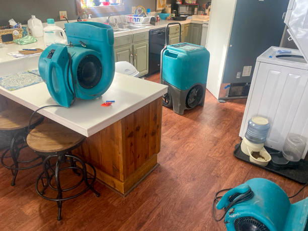 Best Water damage restoration cost  in South Sarasota, FL