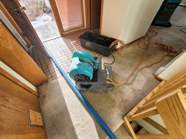 Best Local water damage restoration  in South Sarasota, FL