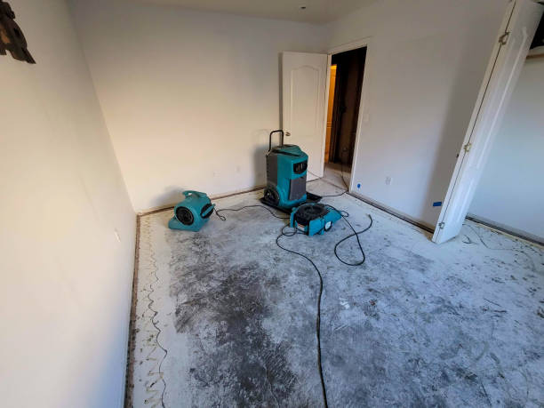 Best Water damage restoration near me  in South Sarasota, FL