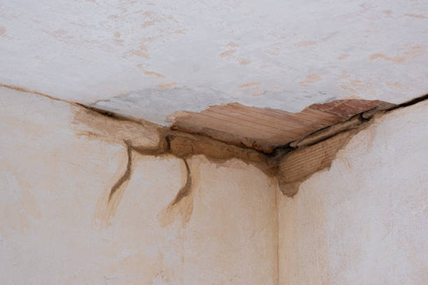 Best Water damage cleanup near me  in South Sarasota, FL