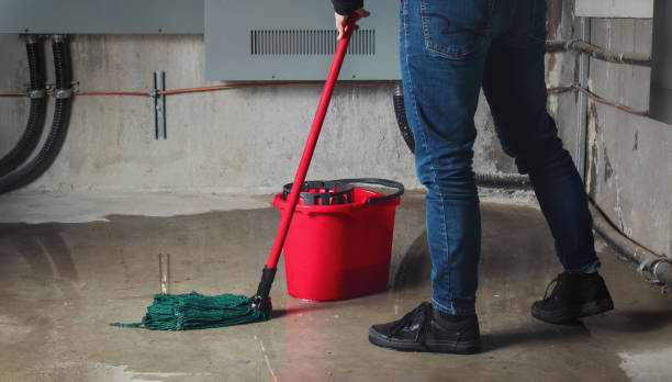 Best Emergency water extraction  in South Sarasota, FL