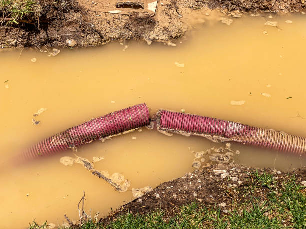  South Sarasota, FL Water damage restoration Pros