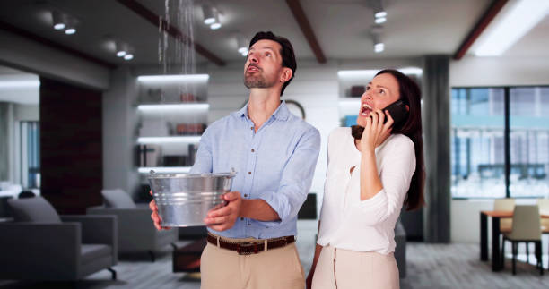 Water damage restoration experts in FL