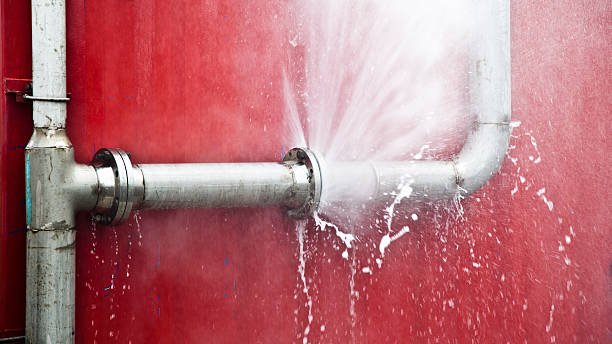 Best Water damage restoration experts  in South Sarasota, FL